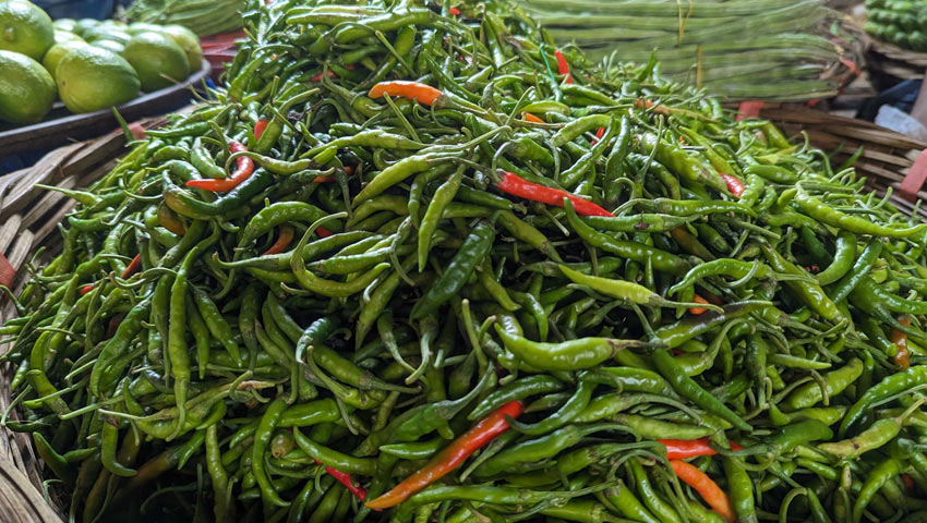 ঢাকায় কাঁচা মরিচের ডাবল সেঞ্চুরি